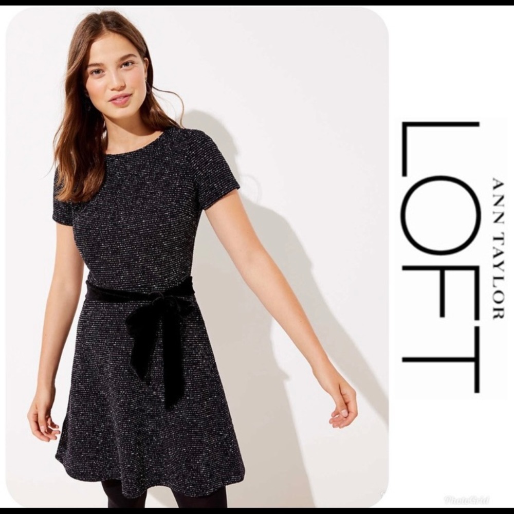 NWT LOFT Textured Velvet Belted Dress Sz 10T $90!
